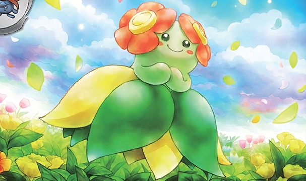 Leaderboard image